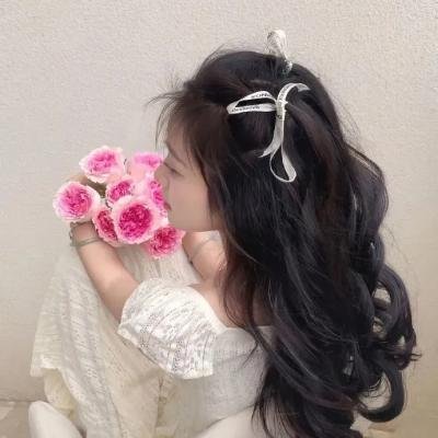 完美的主人